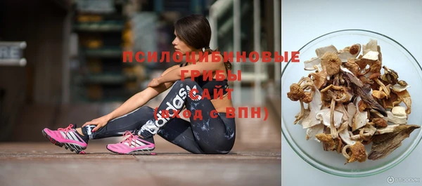 мет Арсеньев