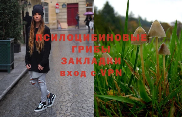 jwh Аркадак
