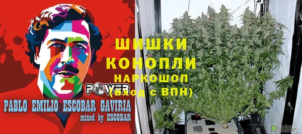 мет Арсеньев